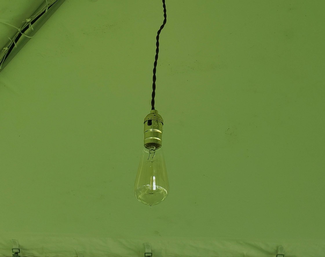 Edison Bulb